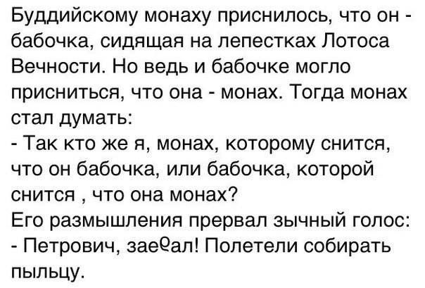 Буддийскому монаху приснилось что он бабочка сидящая на лепестках Лотоса Вечности Но ведь и бабочке могло присниться что она монах Тогда монах стал думать Так кто же я монах которому снится что он бабочка или бабочка которой снится что она монах Его размышления прервал зычный голос Петрович заеёал Полетели собирать пыльцу