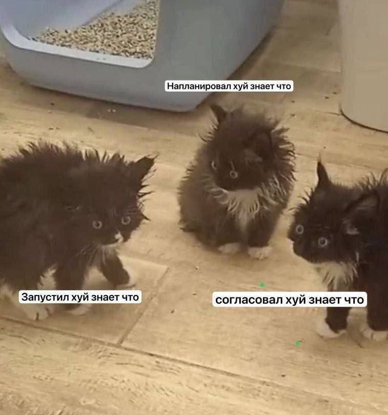 Напланирцип зд хуи а