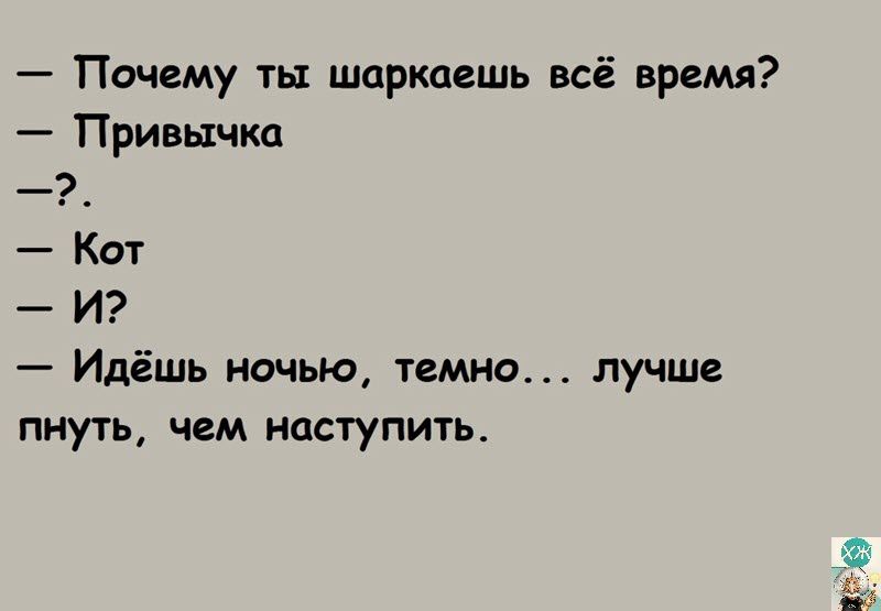 Почему ты шаркаешь всё время Привычка Кот И Идёшь ночью темно лучше пнуть чем наступить