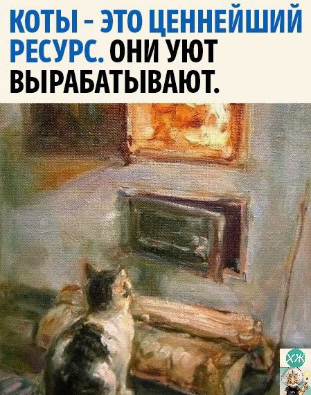 коты это цвнннишии РЕСУРС они уют ВЬРАБАТЬ_ВАЮТ