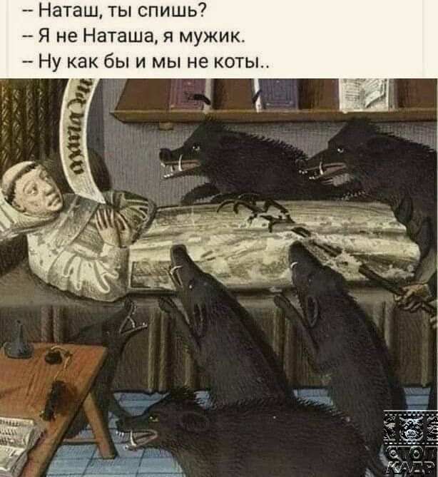 Наташ ты спишь7 Я не Наташа я мужик Ну как бы и мы не коты