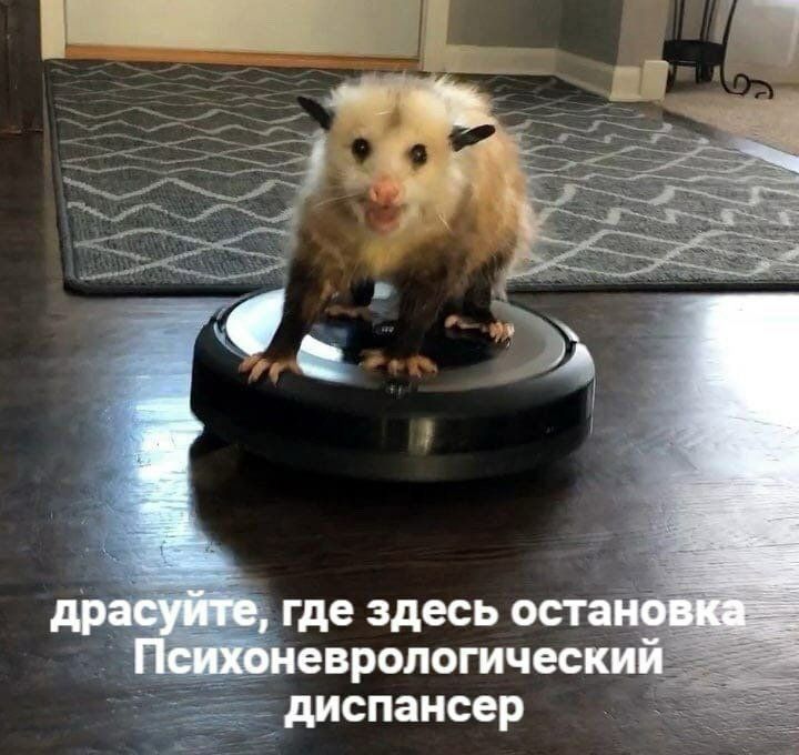 где здесь оста _ европогичес диспансер