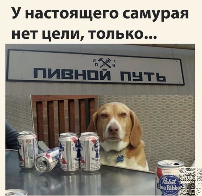 У НЗСТОЯЩЕГО самурая нет ЦЕЛИ ТОЛЬКО