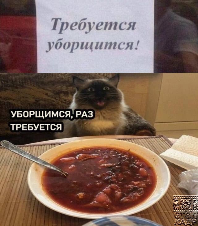 Трийгштл уйнрннтм Ч УБОРЩИМСЯ РАЗ ТРЕБУЕТСЯ