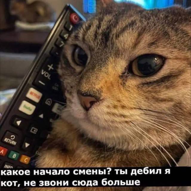 чё _ Щл __и какое начало смены ты дебил я и сюда больше питт