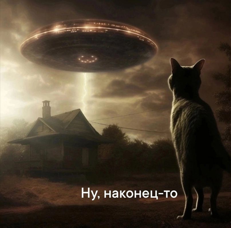 Ну наконецто