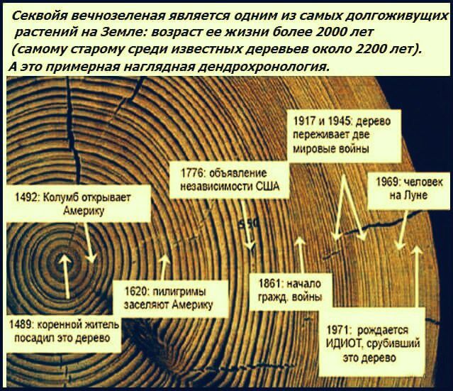 емайл вечномвия лвллетгя или из самых лмгожи уших растит на Звмле ашраа ее жизни Более гипп самому тропу среди изввпныхлеревьев акиш ива Лег А по примерная наглядная ленллплронмагим шп 1945 на то лилии шин ш темы мв пшдм зп мии нп ттт 1 ств ий ин