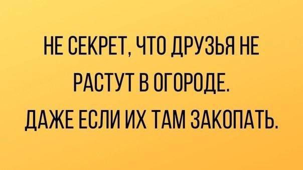 НЕ СЕКРЕТ ЧТО ДРУЗЬЯ НЕ РАБТУТ В ОГОРОДЕ ДАЖЕ ЕСЛИ ИХ ТАМ ЗАКОПАТЬ