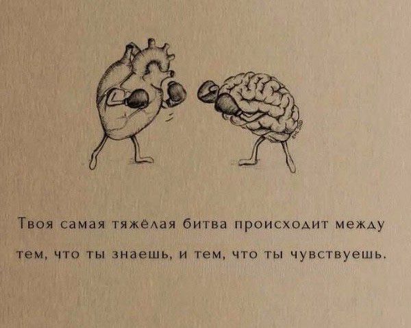 Тм самая Ижепая Битва происхсАиг МЕЖАУ тем чт ты знаешь и тем что ты чувствуешь