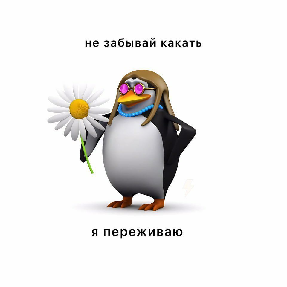 не забывай какать я переживаю