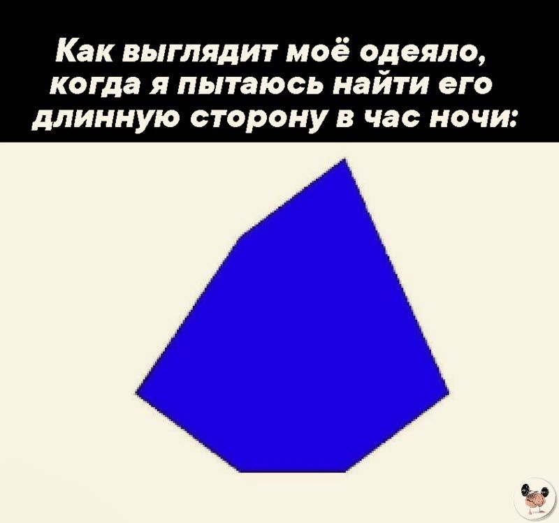 Как выглядит моё одеяло когда Я ПЫТЗЮСЬ найти его длинную сторону В час НОЧИ Ч