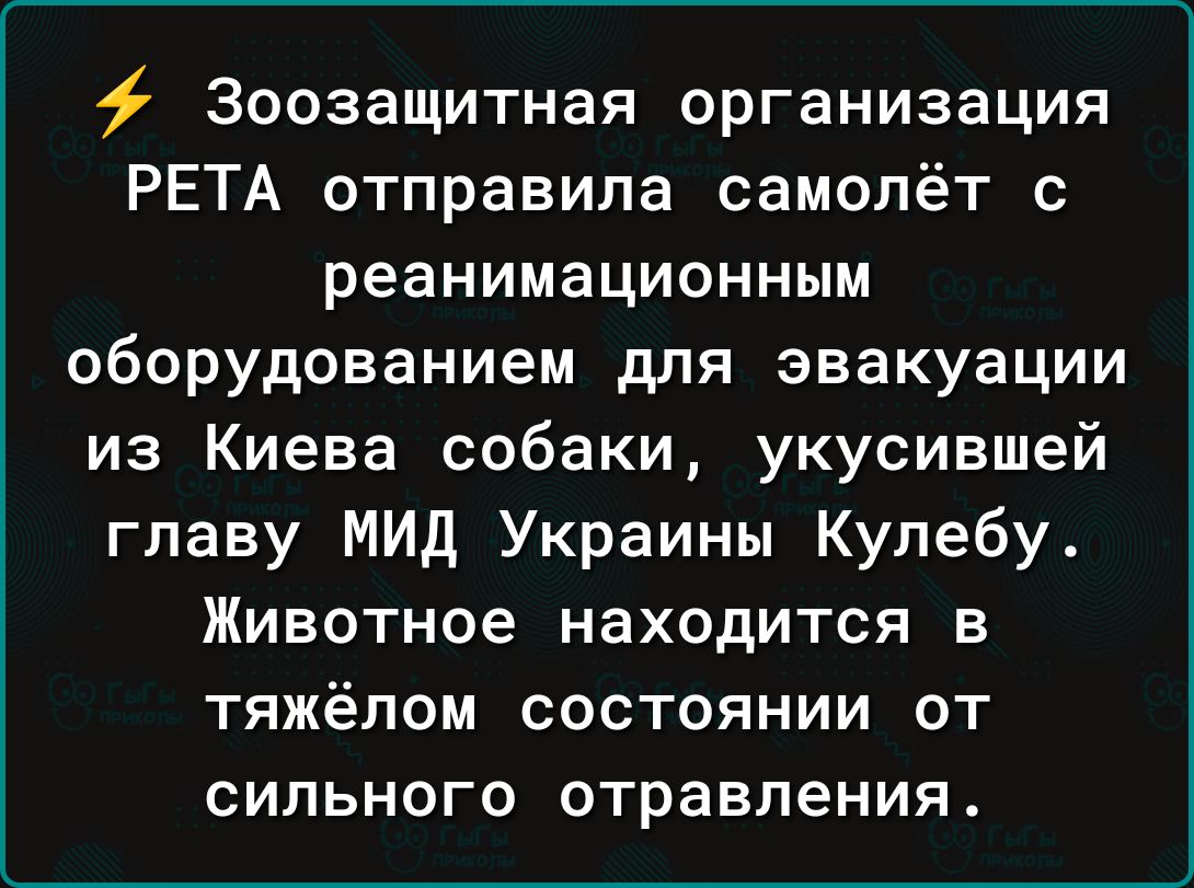 Зоозащитная организация РЕТА отправила самолёт с реанимационным оборудованием для эвакуации из Киева собаки укусившей главу МИД Украины Кулебу Животное находится в тяжёлом состоянии от сильного отравления