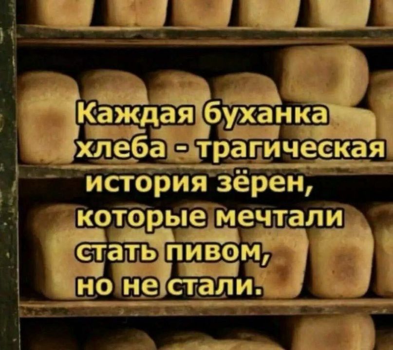 Каіжді аябух і анаі хщщеба традичеекая исіорИязёрен ди которьГёіаеЧтали егаііьгпипвоц но 119 СТ а дві