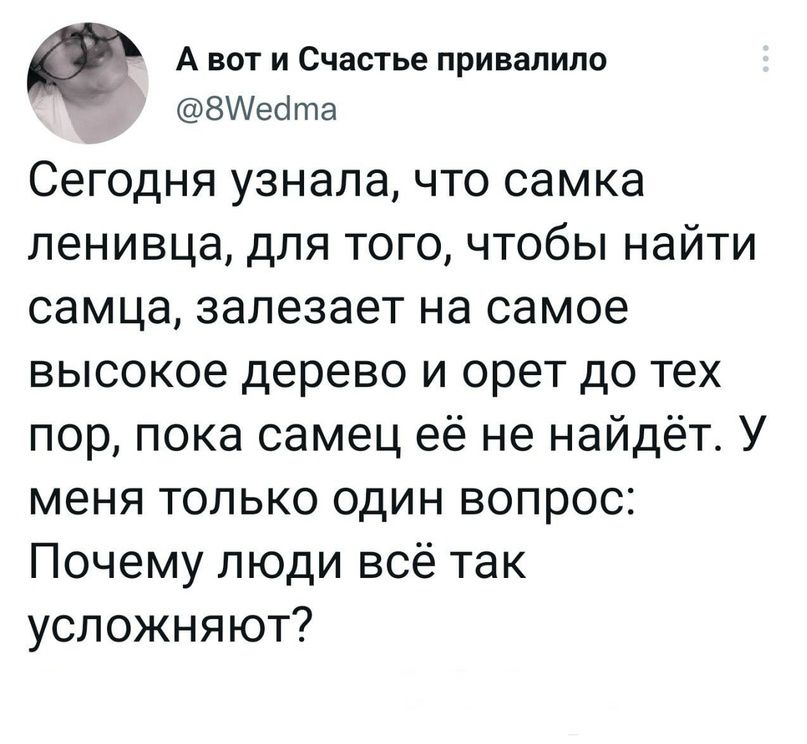 0 А вот и Счастье привалило ЗИебта Сегодня узнала что самка ленивца для того чтобы найти самца залезает на самое высокое дерево и орет до тех пор пока самец её не найдёт У меня только один вопрос Почему люди всё так усложняют