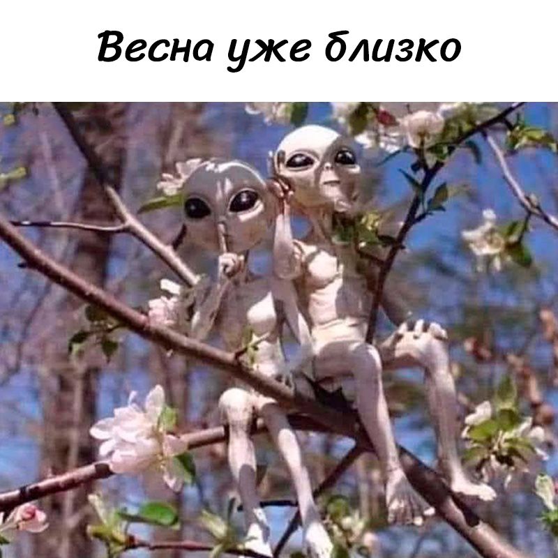 Весна уже близко