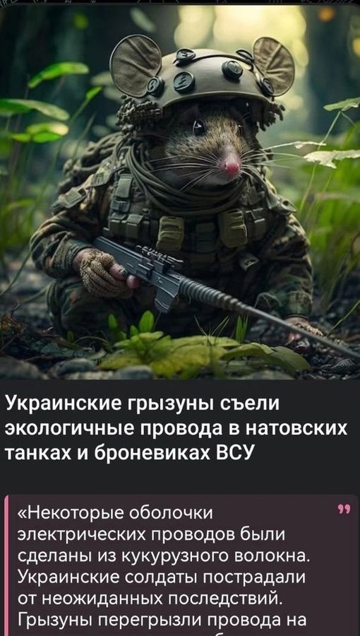 Украинские грызуны съели экологичные провода в натовских танках и броневиках ВСУ Некоторые оболочки электрических проводов были сделаны из кукурузного волокна Украинские солдаты пострадали от неожиданных последствий Грызуны перегрызли провода на