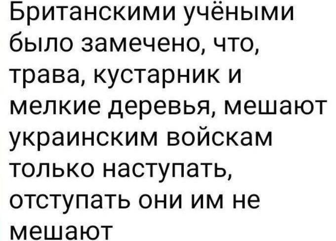 Британскими учёными было замечено что трава кустарник и мелкие деревья мешают украинским войскам только наступать отступать они им не мешают