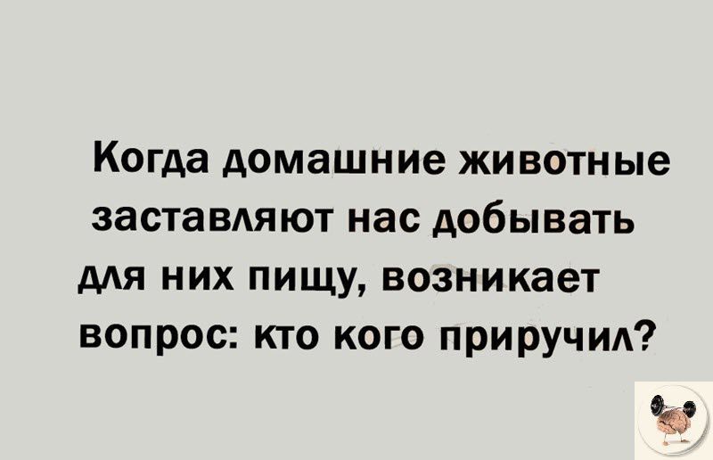 Когда домашние животные заставдяют нас добывать для них пищу возникает вопрос кто кого приручил с