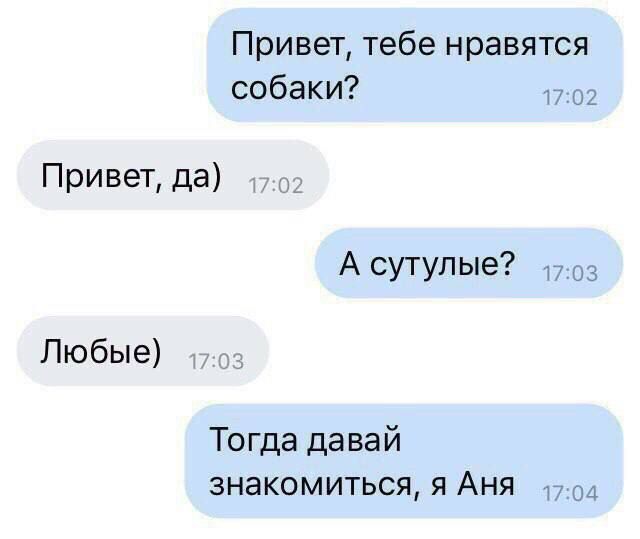 Привет тебе нравятся собаки Привет да А сутупые Любые Тогда давай знакомиться Я АНЯ 17