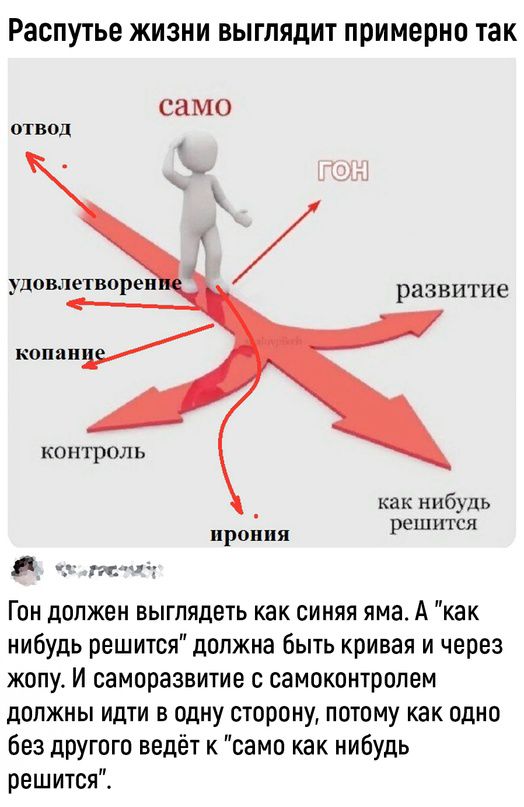 Распутье жизни выглядит примерно так СЗМО отвод удовлепюреи копандд контроль РВЗВИТИЕ как нибудь пропил решяпси Гон должен выглядеть как синяя яма А как нибудь решится должна быть кривая и через жопу И саморазвитие с самоконтрплем должны идти в одну сюрону потому как одно без другого ведё1 к сами как нибудь решится