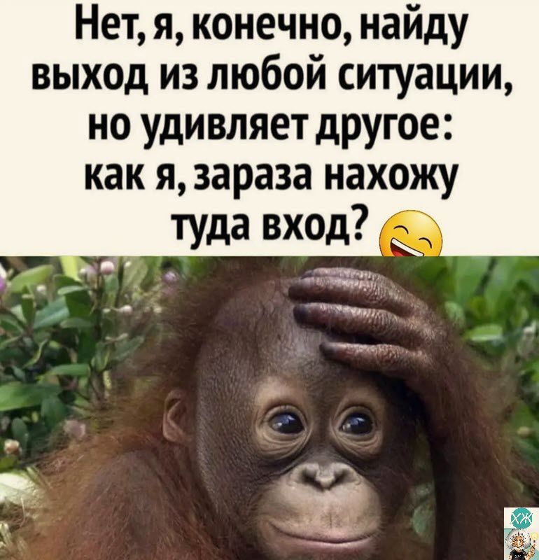 Нет я конечно найду выход из любой ситуации но удивляет другое как я зараза нахожу туда вход