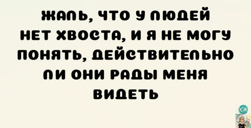 жизнь что у пюпвй нет хвост и я не могу понять пвйствитвпьно пи они рапы меня видеть ЁЭ