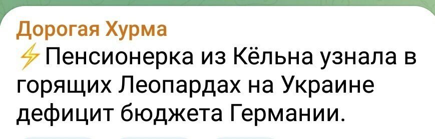 дорогая Хурма Пенсионерка из Кёльна узнала в горящих Леопардах на Украине дефицит бюджета Германии