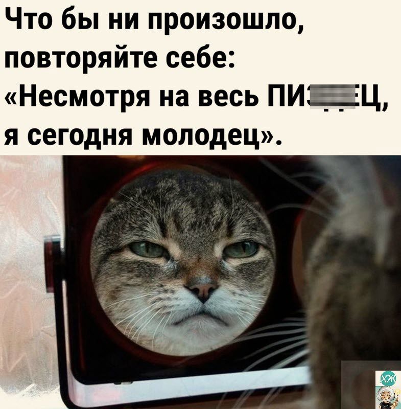 Что бы ни произошло повторяйте себе Несмотря на весь ПИЕЦ я сегодня молодец