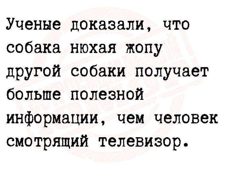 Ученые доказали что собака нюхая жопу другой собаки получает больше полезной информации чем человек смотрящий телевизор
