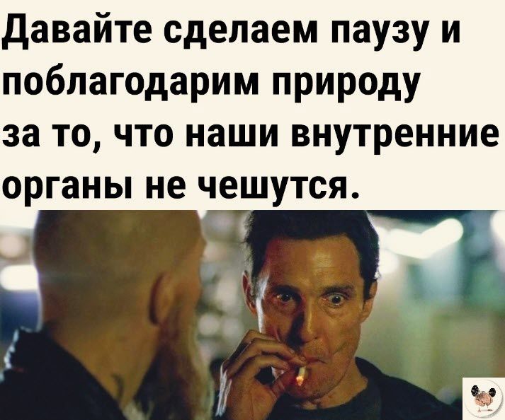 давайте сделаем паузу и поблагодарим природу за то что наши внутренние органы не чешутся