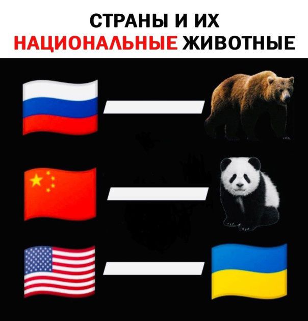 СТРАНЫ И ИХ НАЦИОНААЬНЫЕ ЖИВОТНЫЕ _ 73