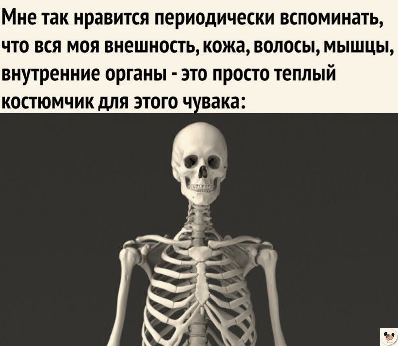 Мне так нравится периодически вспоминать ЧТО ВСЯ МОЯ внешность кожа ВОЛОСЫ МЫШЦЫ внутренние органы это просто теплый КОСТЮМЧИК ДЛЯ ЭТОГО Ч вака