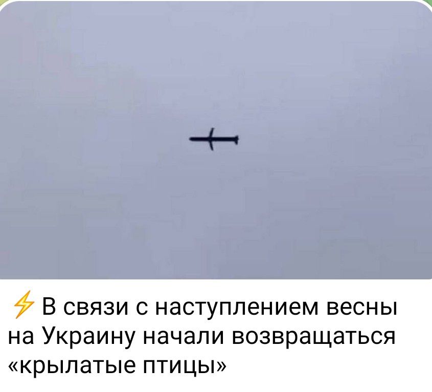 В СВЯЗИ с наступлением ВЕСНЫ на Украину начали возвращаться крылатые птицы