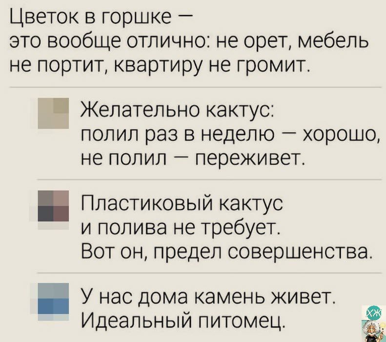 Цветок в горшке это вообще отлично не орет мебель не портит квартиру не громит Желательно кактус полил раз в неделю хорошо не полил переживет Пластиковый кактус и полива не требует Вот он предел совершенства У нас дома камень живет Идеальный питомец