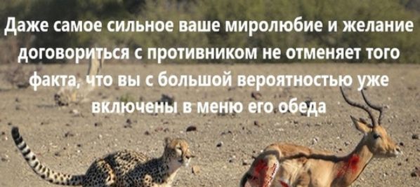 даже самое ствии ише миролюбие и желание