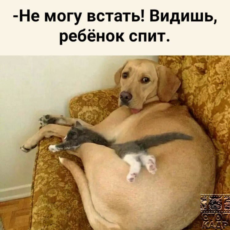 Не могу встать Видишь ребёнок спит