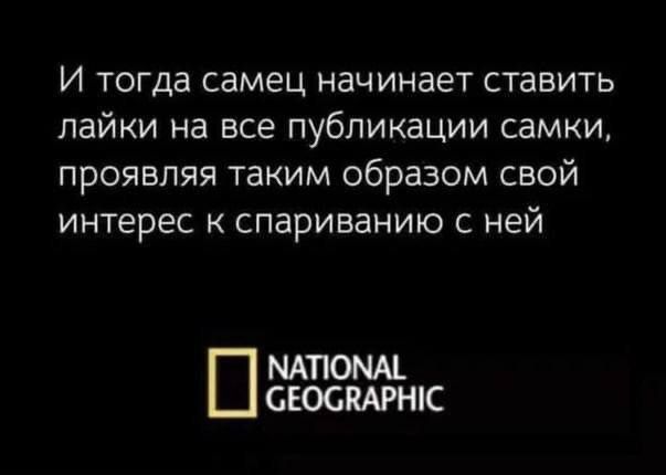 И тогда самец начинает ставить лайки на все публикации самкиА проявляя таким образом свой интерес спариванию ней МАПОММ СЕОСКАРНК