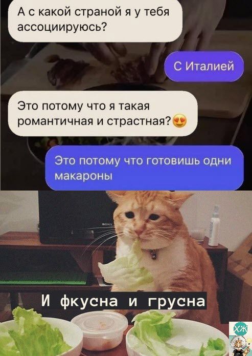 А с какой страной я у тебя ассоциируюсь С Италией Это потому что я такая роматичная и страстная Ч ЭТО ПОТОМУ ЧТО ГОТОВИШЬ ОДНИ макароны И фкусна и г сна