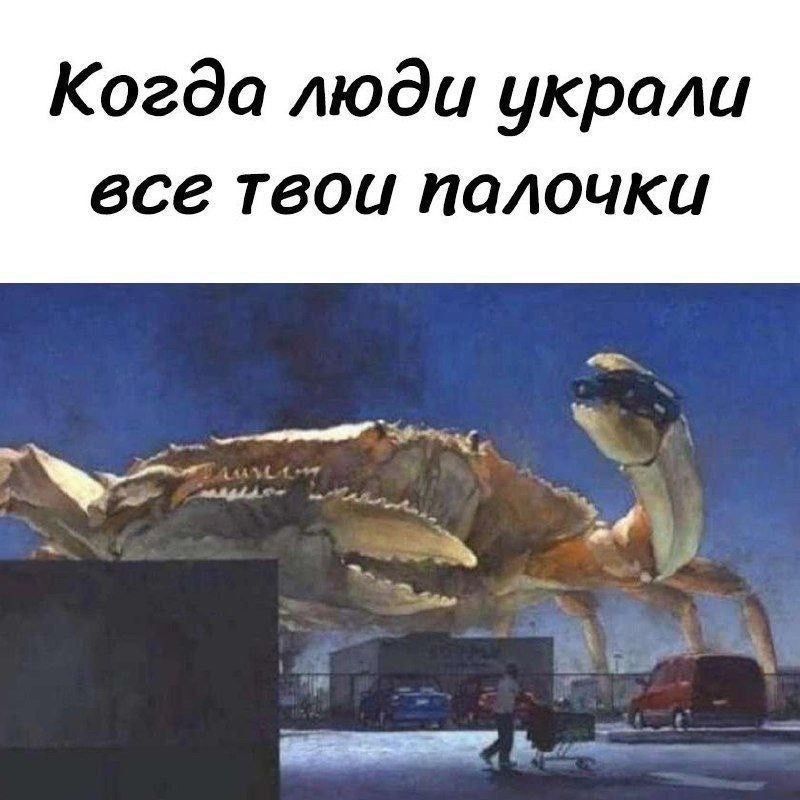 Когда люди украли все твои ПОЛОЧКЦ