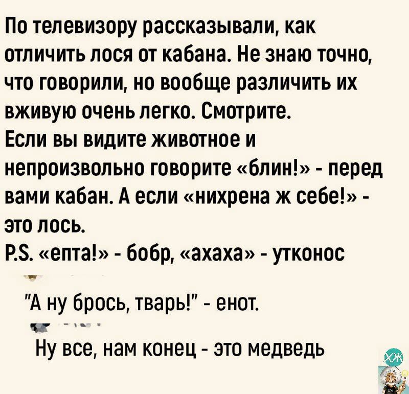 По телевизору рассказывали как отличить лося от кабана Не знаю точно что говорили но вообще различить их вживую очень легко Смотрите Если вы видите животное и непроизвольно говорите блин перед вами кабан А если нихрена ж себе это лось РЗ ента бобр ахаха утконос А ну брось тварь енот 0 Ну все нам конец это медведь 7