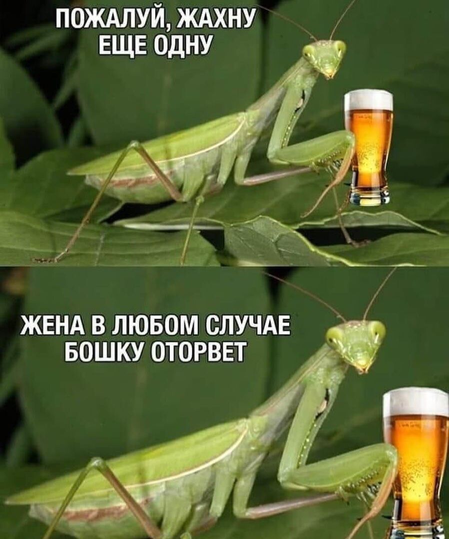 пождлуй ЖАХНУ ЕЩЕ одну ЖЕНА В ЛЮБОМ СЛУЧАЕ БОШКУ ОТОРВЕТ