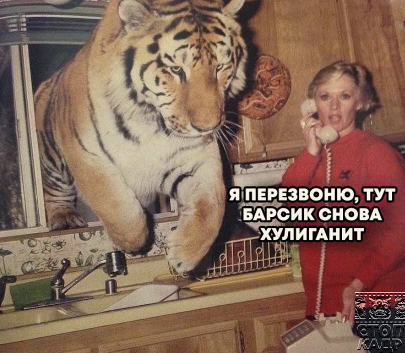 Т А н её в ш 3 с т Е УПИГАНИТ