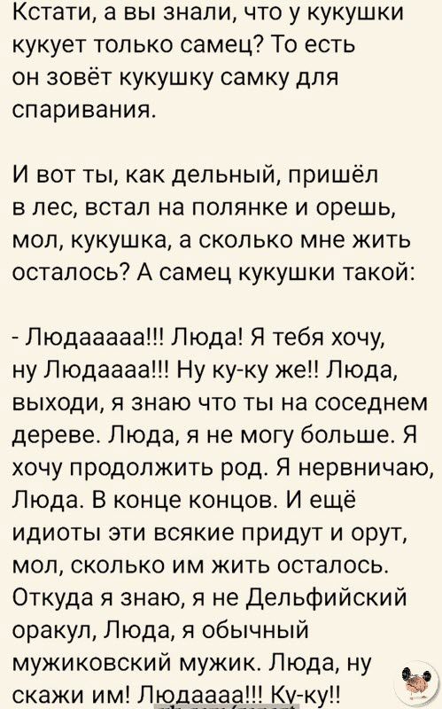 Кстати а вы знали что у кукушки кукует только самец То есть он зовёт кукушку самку для спаривания И вот ты как дельный пришёл в лес встал на полянке и орешь мол кукушка а сколько мне жить осталось А самец кукушки такой Людааааа Люда Я тебя хочу ну Людаааа Ну куку же Люда ВЫХОДИ Я знаю ЧТО ТЫ на соседнем дереве Люда я не могу больше Я хочу продолжить род Я нервничаю Люда В конце концов И ещё идиоты