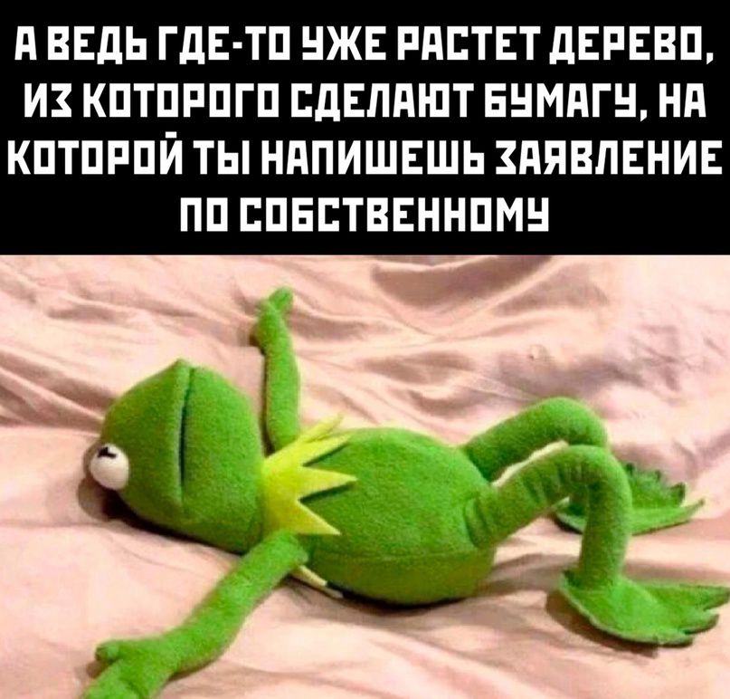 А ВЕДЬ ГдЕ ТП НЖЕ РПЕТЕТ дЕРЕЕП И КПТПРПГП ПдЕЛдШТ ЕНМПГН НП КПТПРПЙ ТЫ НППИШЕШЬ ЗАЯВЛЕНИЕ ПП СПЕЕТВЕННПМН
