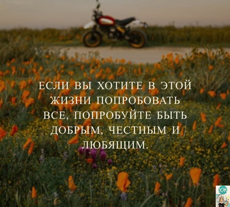 ЕСЙИ вы ХОТИТЕ в этой жизни потоковых ВСЕ попронуйтв выть довгым чвстньм и лрхдящищ