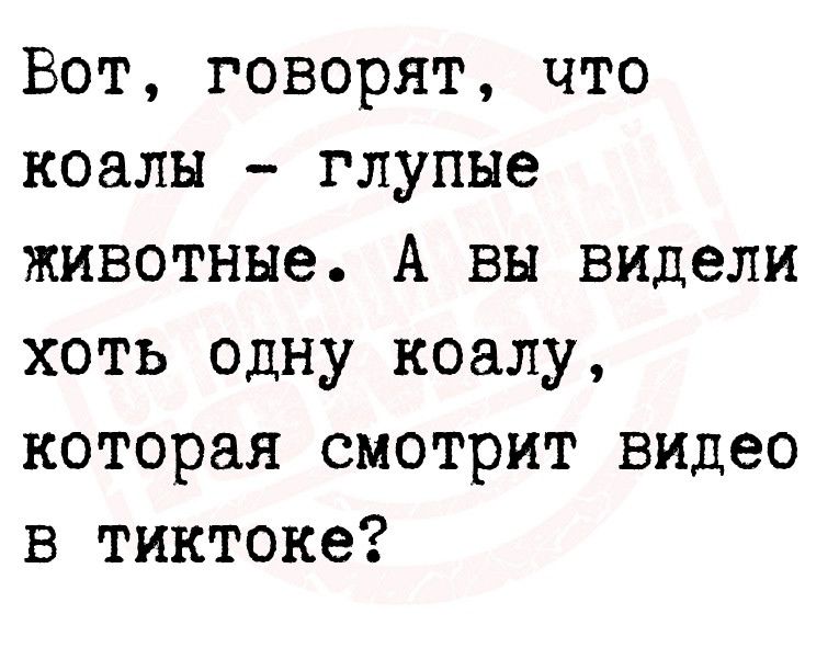 Вот говорят что коалы глупые животные А вы видели хоть одну коалу которая смотрит видео в тиктоке