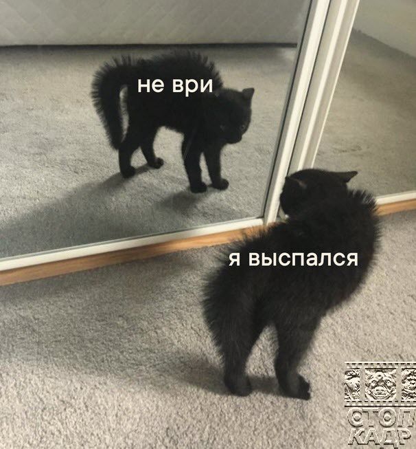 Я ВЫСПЗЛСЯ