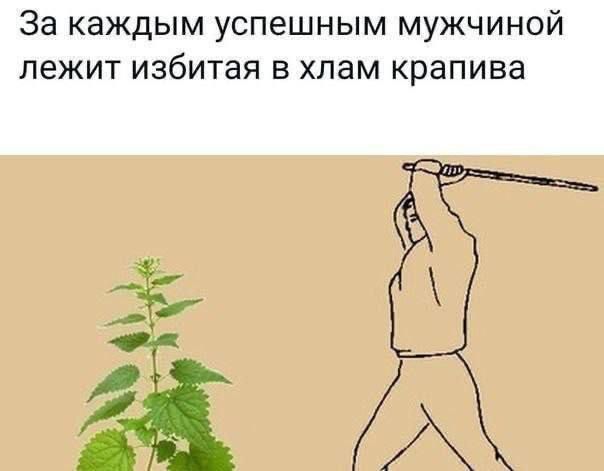 За каждым успешным мужчиной лежит избитая в хлам крапива