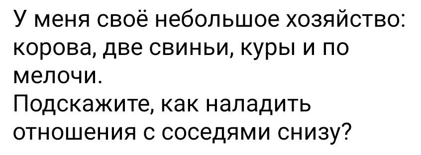 У меня своё небольшое хозяйство корова две свиньи куры и по МЕЛОЧИ Подскажите как наладить отношения с соседями снизу