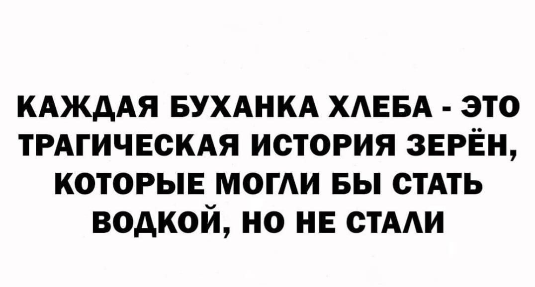 КАЖААЯ БУХАНКА ХАЕБА ЭТО ТРАГИЧЕСКАЯ ИСТОРИЯ 3ЕРЁН КОТОРЫЕ МОГАИ БЫ СТАТЬ ВОДКОЙ НО НЕ СТААИ